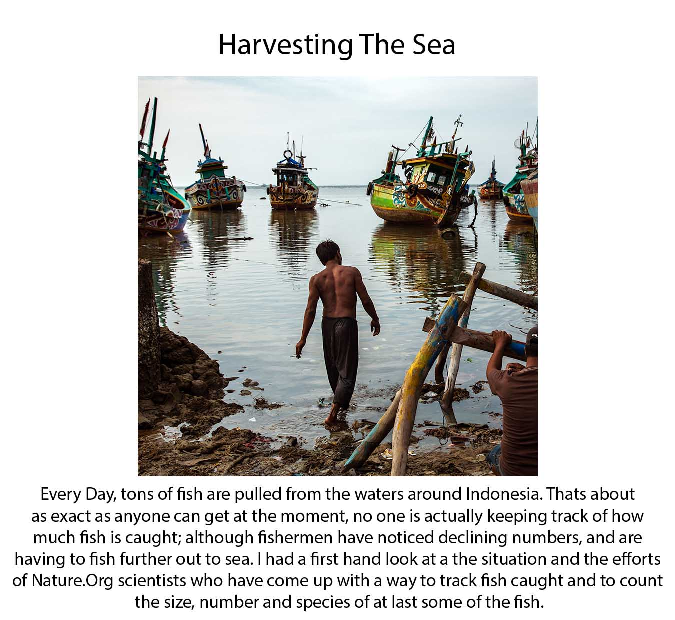 HarvestingTheSeaThumb